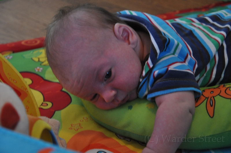 William's Fifth Week 04.jpg